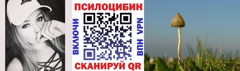 даркнет сайт  Ивдель  Галлюциногенные грибы ЛСД 